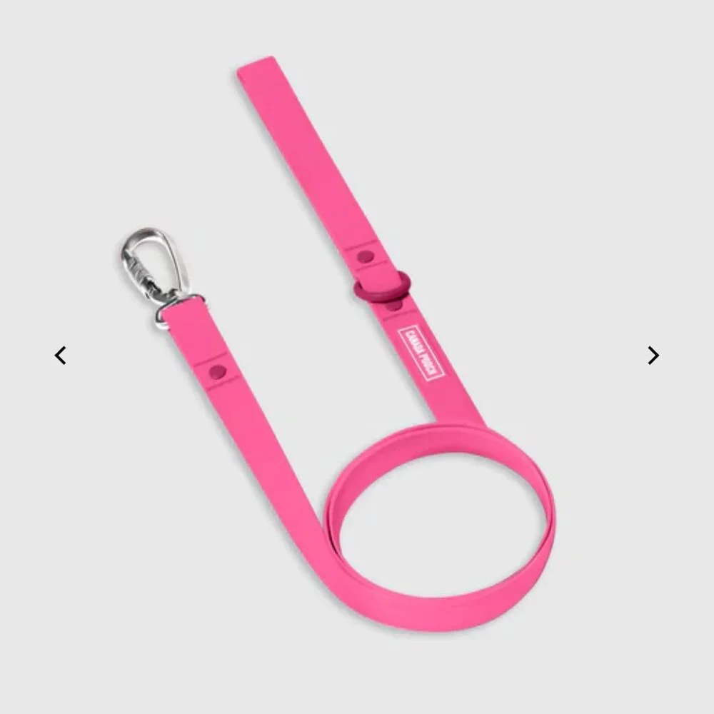 NWT, Canada Pooch Waterproof Dog Leash with Carabiner, Pink - Size L/XL